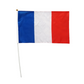 Drapeau à main France