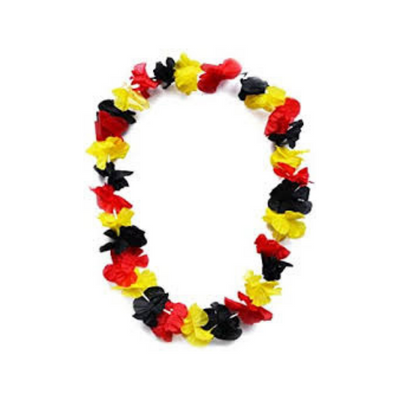 Kit supporter Belgique